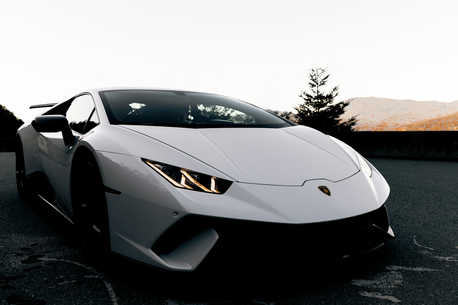 Performance roadster